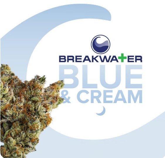 Blue & Cream | 7g | Flower